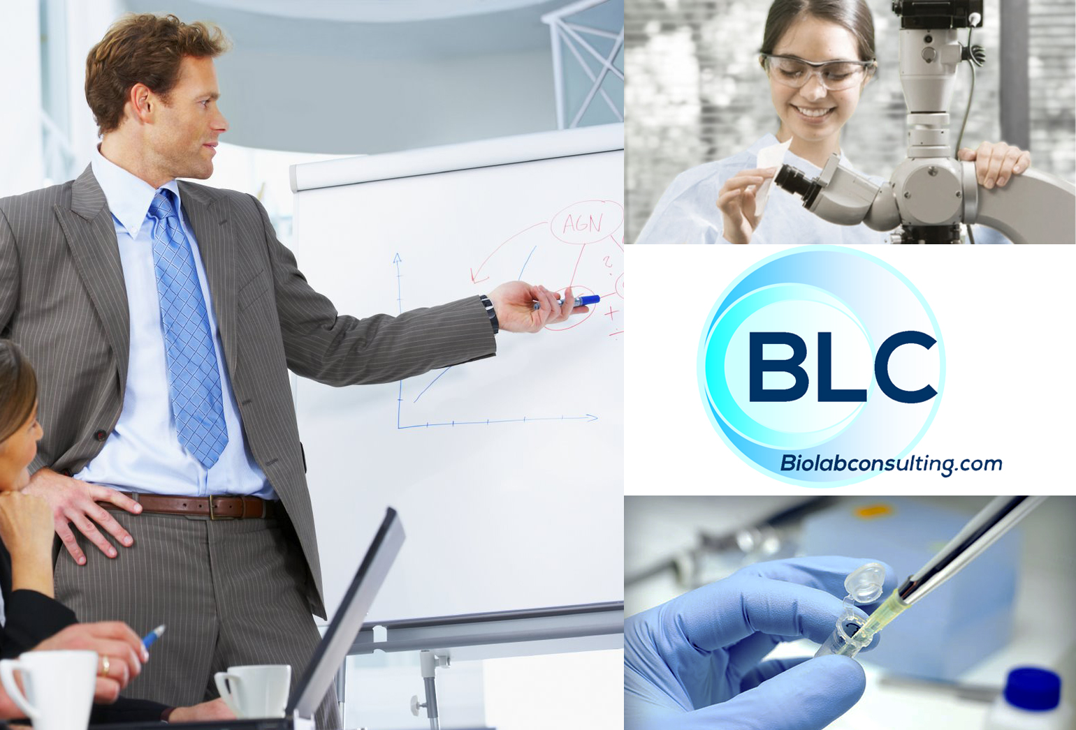 BioLab Consulting